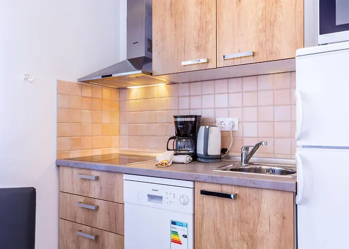 House Burle Apartment Medulin